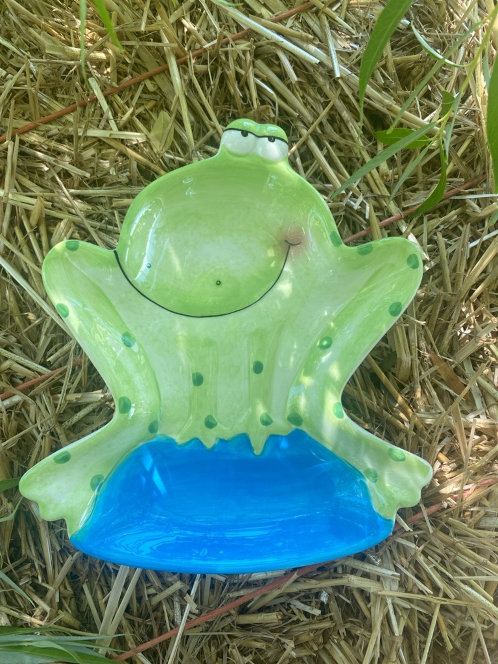 Frog Ceramic Dish